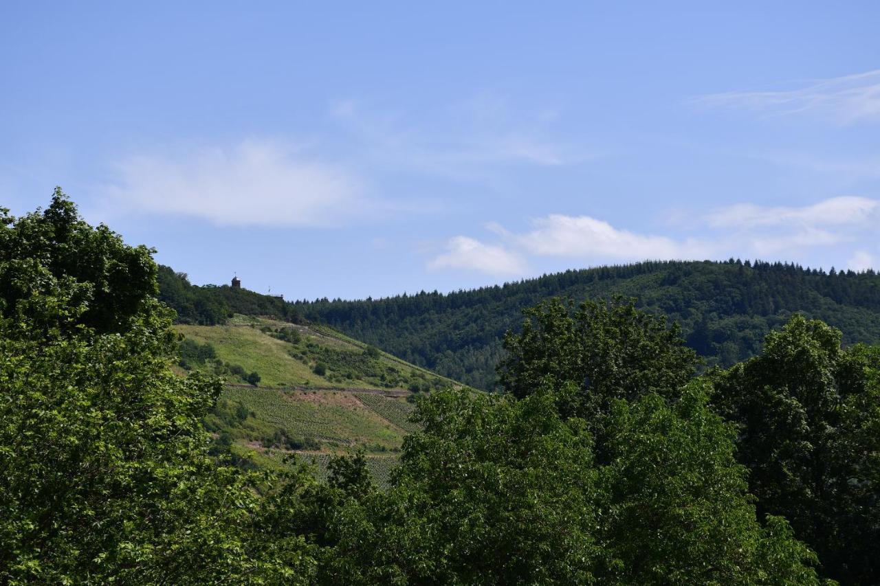 Schorn³ Appartements Zell an der Mosel Ngoại thất bức ảnh