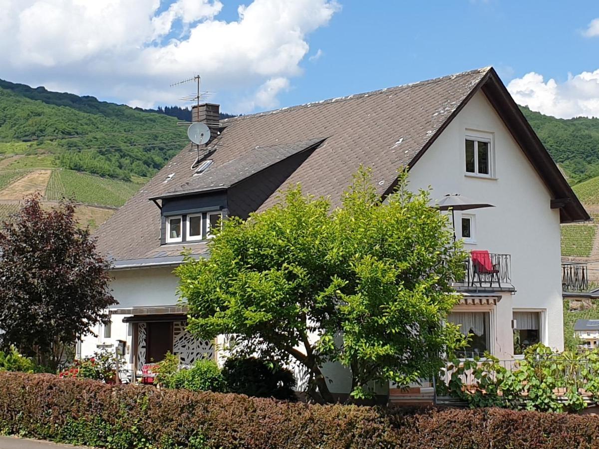 Schorn³ Appartements Zell an der Mosel Ngoại thất bức ảnh